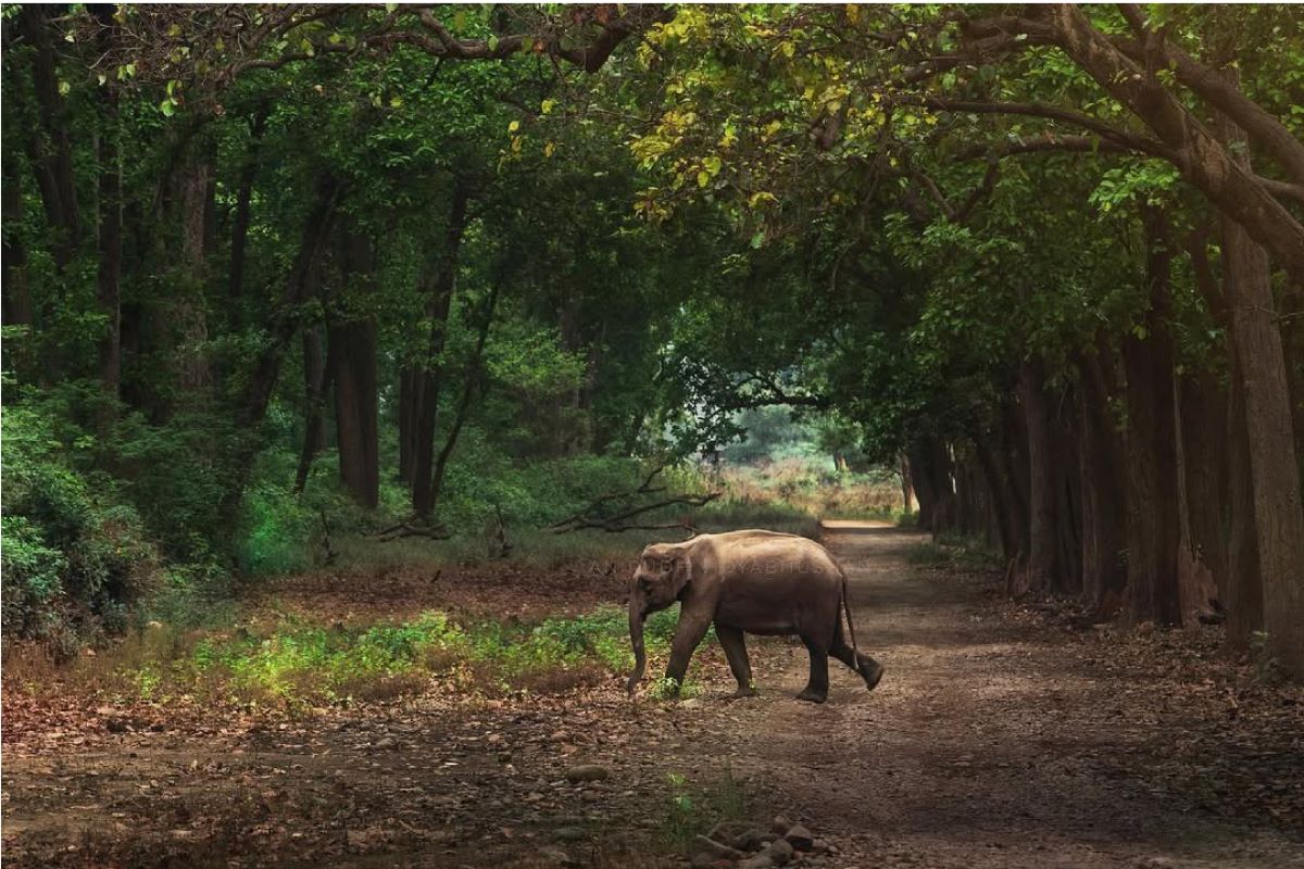 Uttarakhand Tour Gallery